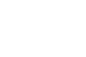 Twinsplan